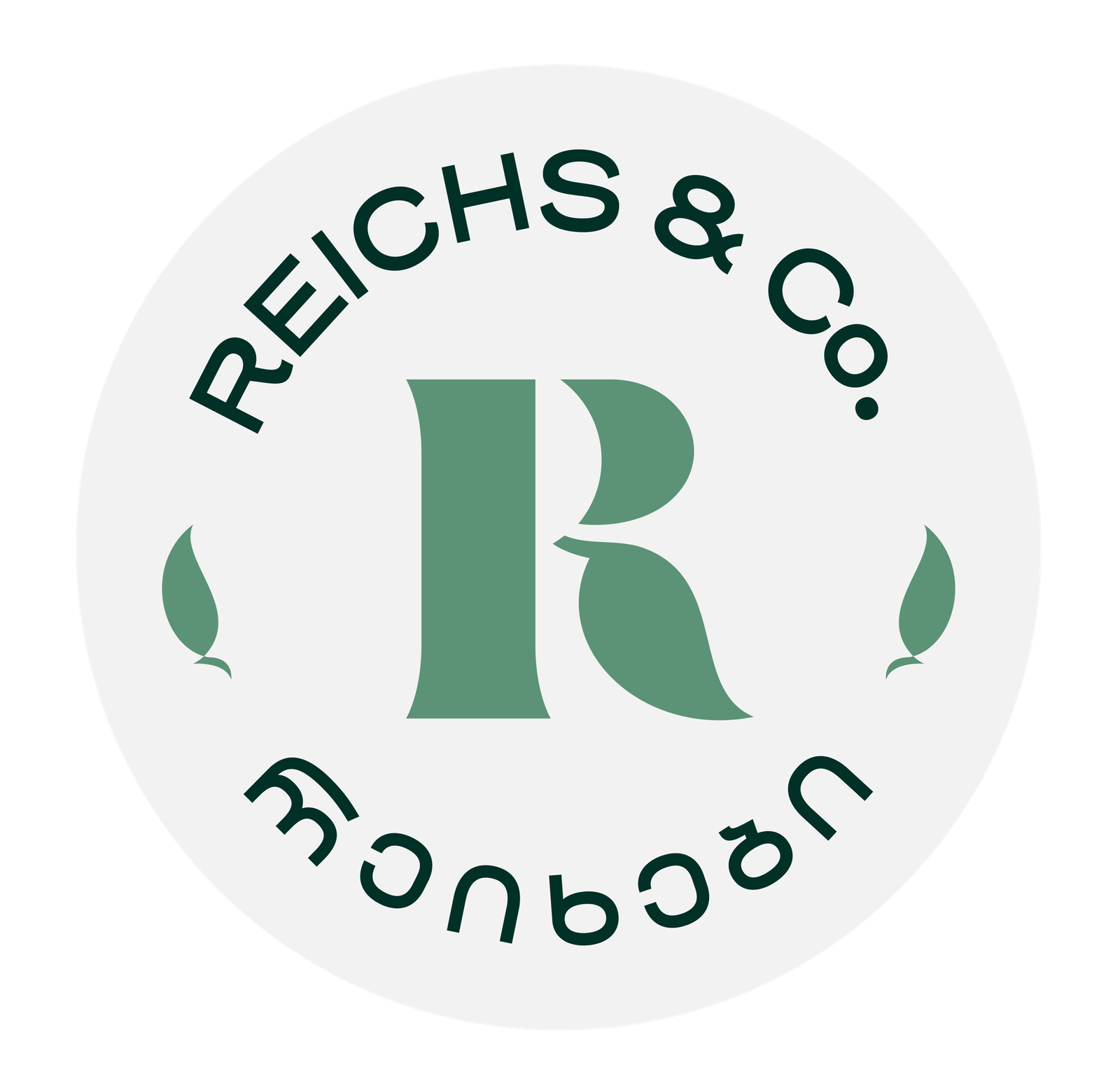 Reichs & Co — Georgian Snack Brand